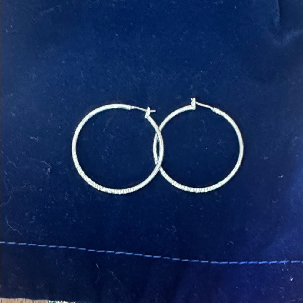 Elegant Silver Hoop Earrings